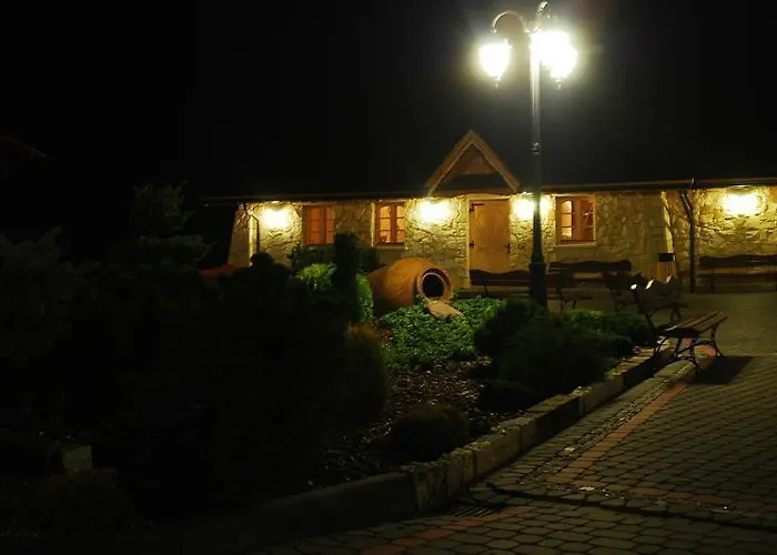 Мини-отель Dworek Saski *