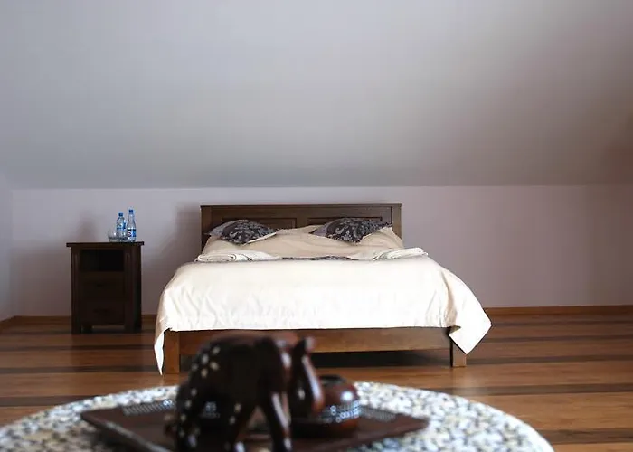 Мини-отель Dworek Saski *